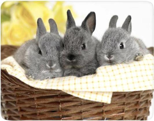 Коврик для мыши Buro BU-M40092 с рисунком кролики