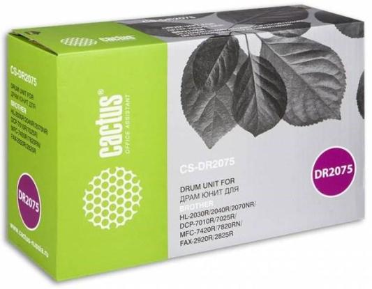 Фотобарабан Cactus CS-DR2075 для Brother HL-2030R HL-2040R HL-2070NR DCP-7010R DCP-7025R MFC-7420R FAX-2920R 12000