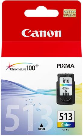 Картридж Canon CL-513 349стр Многоцветный