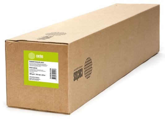 Холст Cactus CS-MC260-61030 610мм-30м 260г/м2 белый для струйной печати втулка 50.8мм 2"
