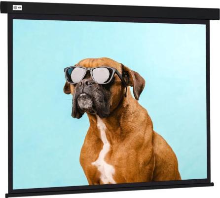 Экран настенно-потолочный Cactus CS-PSW-183X244-BK 244 x 183 см