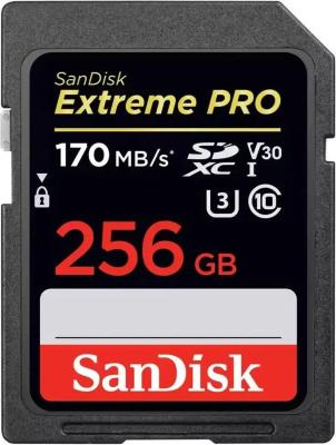 Карта памяти SD XC 256Gb SanDisk Extreme Pro