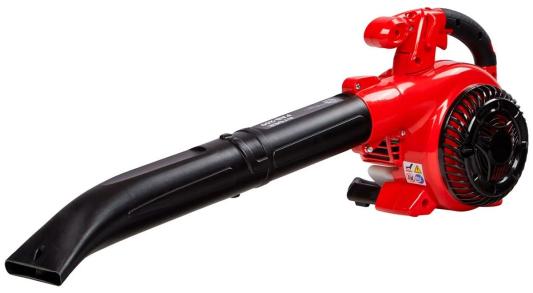 AYGER Воздуходувка бензиновая PAB-260