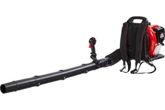 AYGER Воздуходувка бензиновая PAB-430