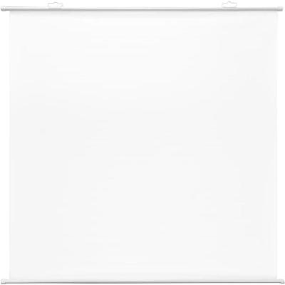 Экран Cactus 150x150см Map type CS-PSRM-150x150-WT 1:1 настенно-потолочный рулонный белый