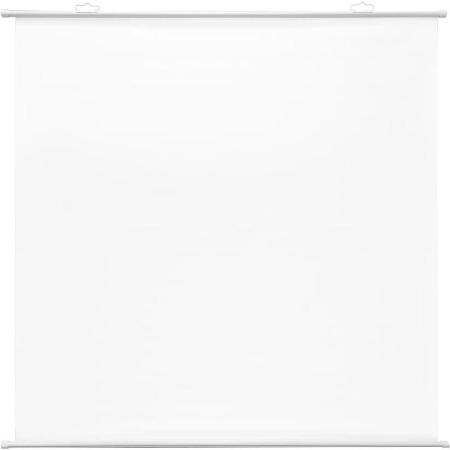 Экран Cactus 180x180см Map type CS-PSRM-180x180-WT 1:1 настенно-потолочный рулонный белый