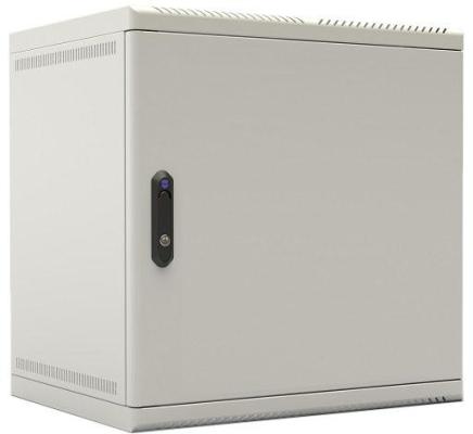 Шкаф настенный 6U ЦМО ШРН-6.650.1 600х650mm дверь металл (Уценка, поврежденная упаковка)