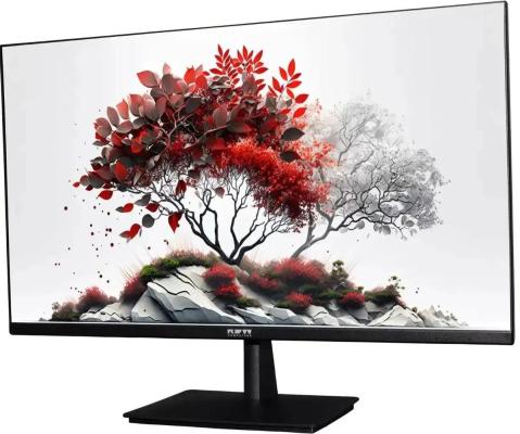 Монитор RDW Computers 27" RDW2701K черный IPS 1ms HDMI M/M 350cd 178гр/178гр 2560x1440 100Hz DP QHD USB (RUS)