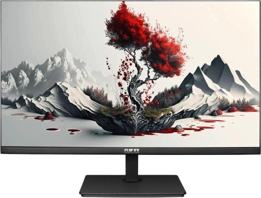 Монитор RDW Computers 23.8" RDW2401K черный IPS 4ms 16:9 HDMI матовая 300cd 178гр/178гр 1920x1080 100Hz VGA DP FHD 4.185кг (RUS)