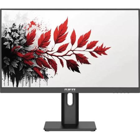 Монитор RDW Computers 27" RDW2701K черный IPS 5ms HDMI M/M HAS Piv 300cd 178гр/178гр 1920x1080 120Hz VGA DP FHD (RUS)