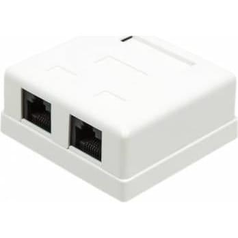 Розетка Lanmaster настенная 2 порта RJ-45 категории 5е UTP белый TWT-SM2-4545-WH